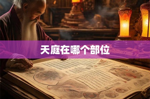 天庭在哪个部位