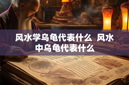 风水学乌龟代表什么  风水中乌龟代表什么