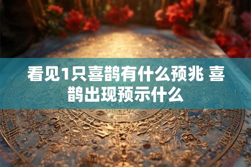 看见1只喜鹊有什么预兆 喜鹊出现预示什么