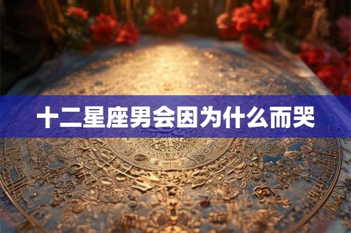 十二星座男会因为什么而哭