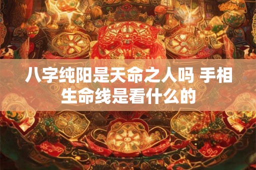 八字纯阳是天命之人吗 手相生命线是看什么的