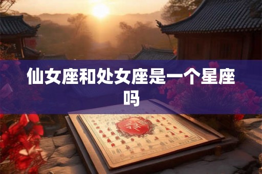 仙女座和处女座是一个星座吗
