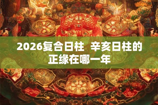 2026复合日柱  辛亥日柱的正缘在哪一年