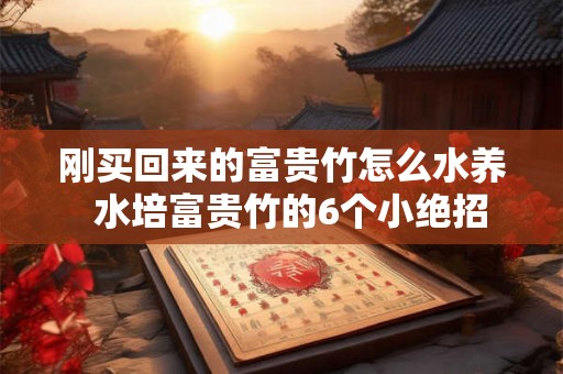 刚买回来的富贵竹怎么水养  水培富贵竹的6个小绝招