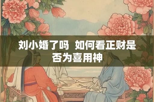 刘小婚了吗  如何看正财是否为喜用神