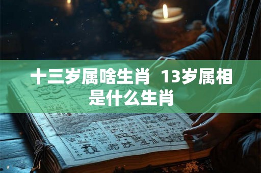 十三岁属啥生肖  13岁属相是什么生肖