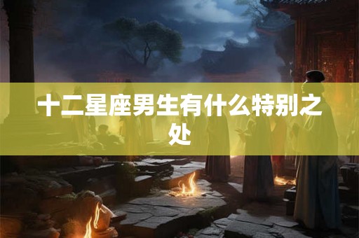 十二星座男生有什么特别之处