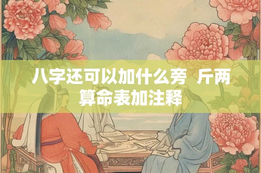 八字还可以加什么旁  斤两算命表加注释