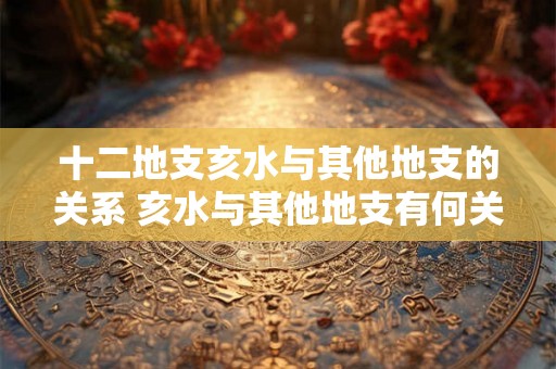 十二地支亥水与其他地支的关系 亥水与其他地支有何关系