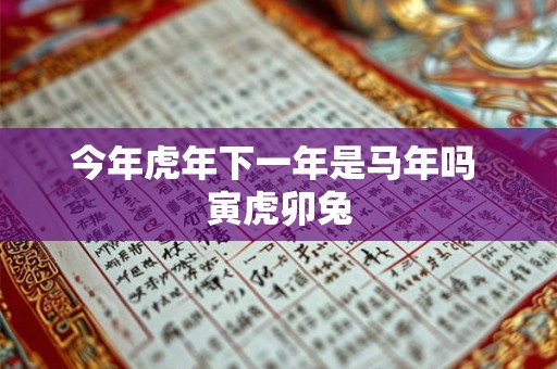 今年虎年下一年是马年吗 寅虎卯兔 今年虎年下一年是马年吗 寅虎卯兔