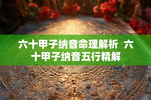 六十甲子纳音命理解析  六十甲子纳音五行精解