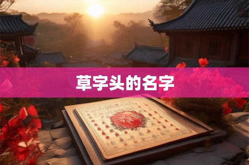 草字头的名字