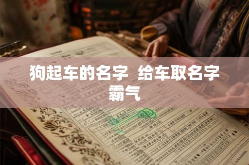 狗起车的名字 给车取名字霸气 狗起车的名字 给车取名字霸气