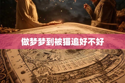 做梦梦到被猫追好不好