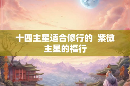 十四主星适合修行的  紫微主星的福行
