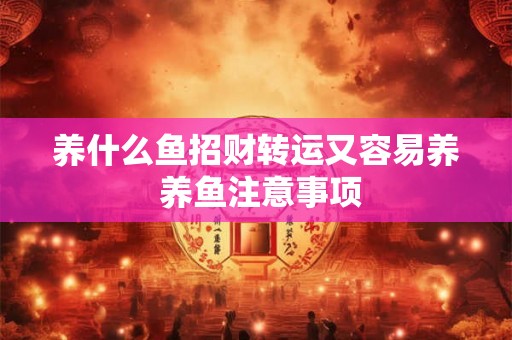 养什么鱼招财转运又容易养 养鱼注意事项