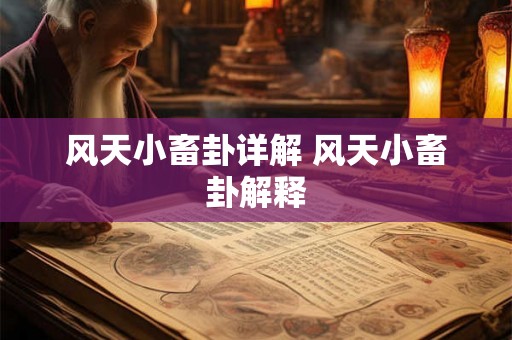 风天小畜卦详解 风天小畜卦解释