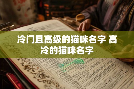 冷门且高级的猫咪名字 高冷的猫咪名字