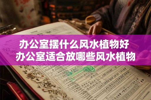 办公室摆什么风水植物好 办公室适合放哪些风水植物