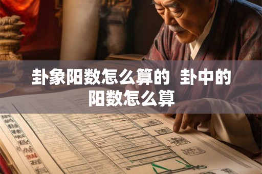 卦象阳数怎么算的  卦中的阳数怎么算