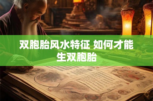 双胞胎风水特征 如何才能生双胞胎
