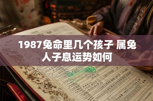 1987兔命里几个孩子 属兔人子息运势如何
