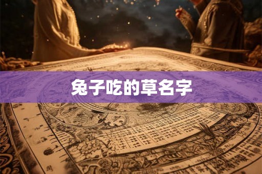 兔子吃的草名字