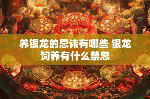 养银龙的忌讳有哪些 银龙饲养有什么禁忌