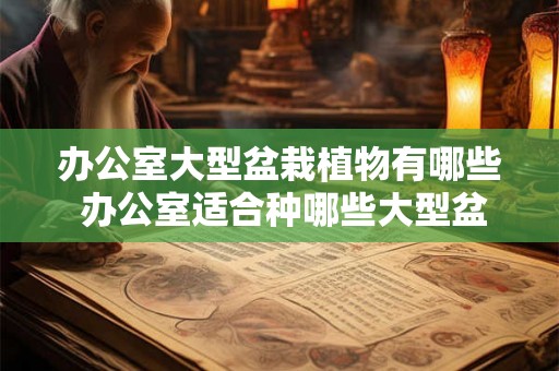 办公室大型盆栽植物有哪些 办公室适合种哪些大型盆栽植物