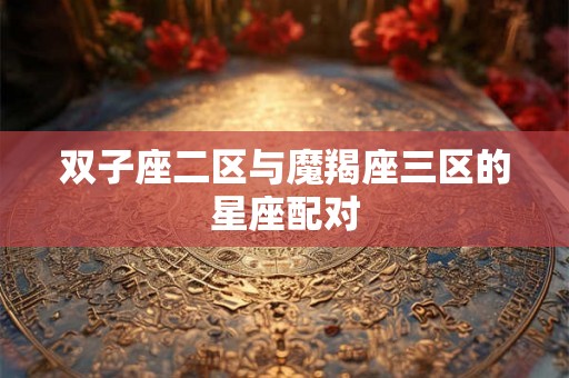 双子座二区与魔羯座三区的星座配对