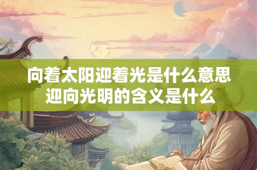 向着太阳迎着光是什么意思 迎向光明的含义是什么