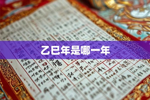 乙巳年是哪一年