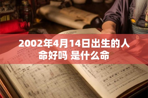 2002年4月14日出生的人命好吗 是什么命