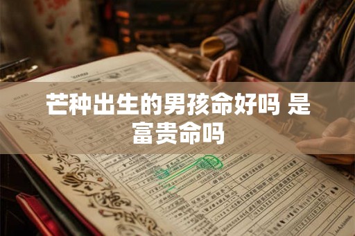 芒种出生的男孩命好吗 是富贵命吗