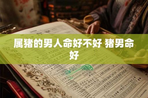 属猪的男人命好不好 猪男命好