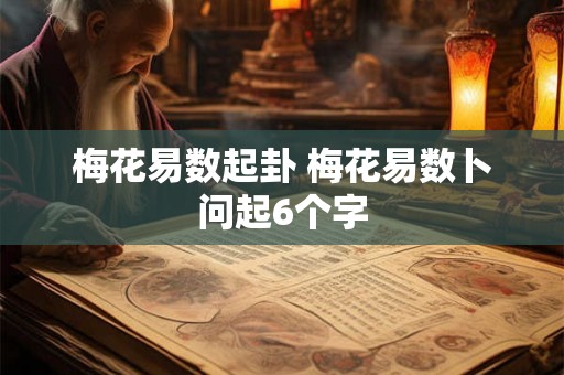 梅花易数起卦 梅花易数卜问起6个字 梅花易数起卦 梅花易数卜问起6个字