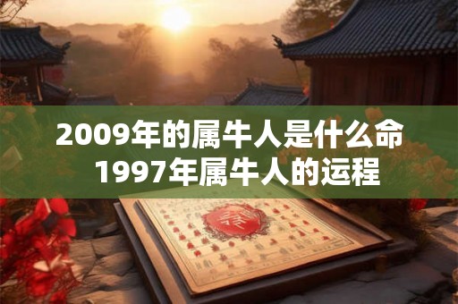 2009年的属牛人是什么命  1997年属牛人的运程