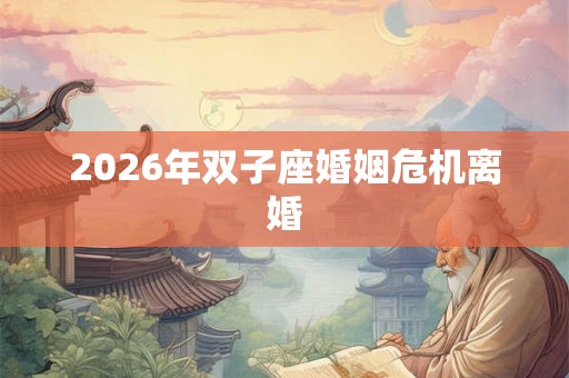 2026年双子座婚姻危机离婚
