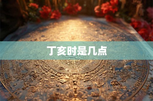 丁亥时是几点