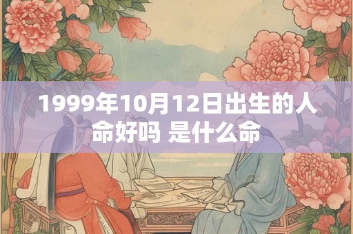 1999年10月12日出生的人命好吗 是什么命