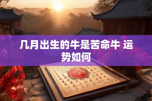 几月出生的牛是苦命牛 运势如何