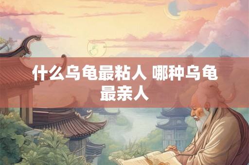 什么乌龟最粘人 哪种乌龟最亲人
