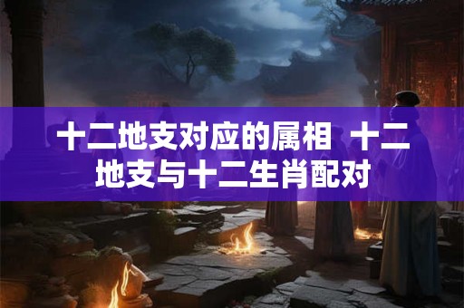 十二地支对应的属相  十二地支与十二生肖配对