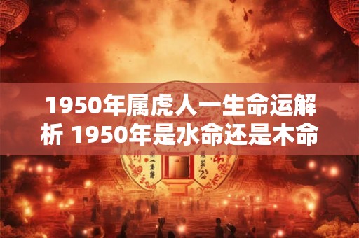 1950年属虎人一生命运解析 1950年是水命还是木命