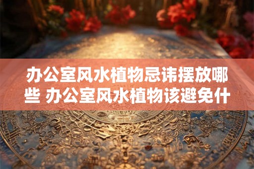 办公室风水植物忌讳摆放哪些 办公室风水植物该避免什么摆放