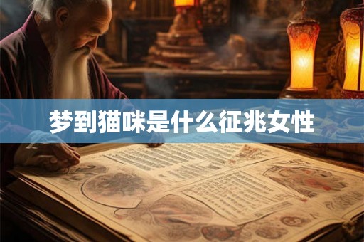 梦到猫咪是什么征兆女性 梦到猫咪是什么征兆女性