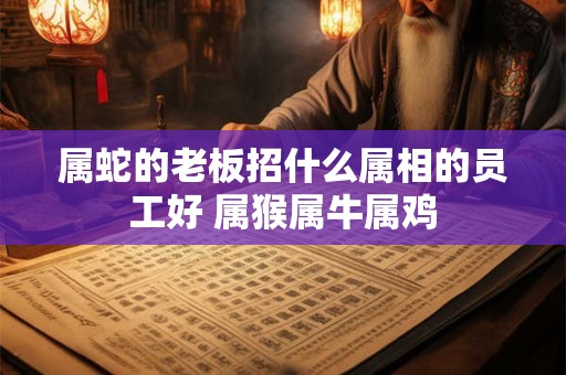属蛇的老板招什么属相的员工好 属猴属牛属鸡