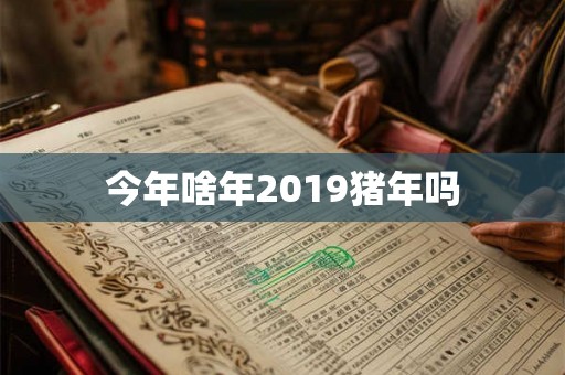 今年啥年2019猪年吗