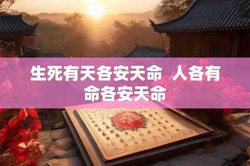 生死有天各安天命  人各有命各安天命