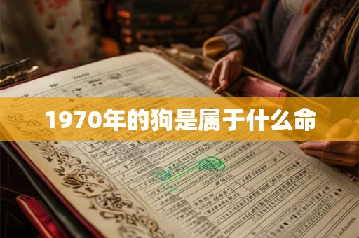 1970年的狗是属于什么命 1970年的狗是属于什么命